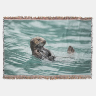 Couverture Observation de la Loupe de mer