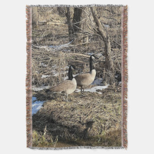 Couverture Oies sauvages Blanche