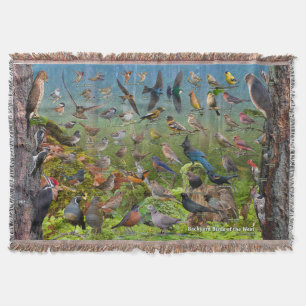 Couverture Oiseaux de jardin de l'ouest