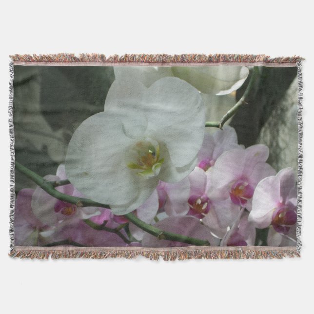 Couverture Orchidées blanches et violettes (Devant)