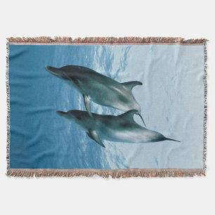 Couverture Paire de dauphins