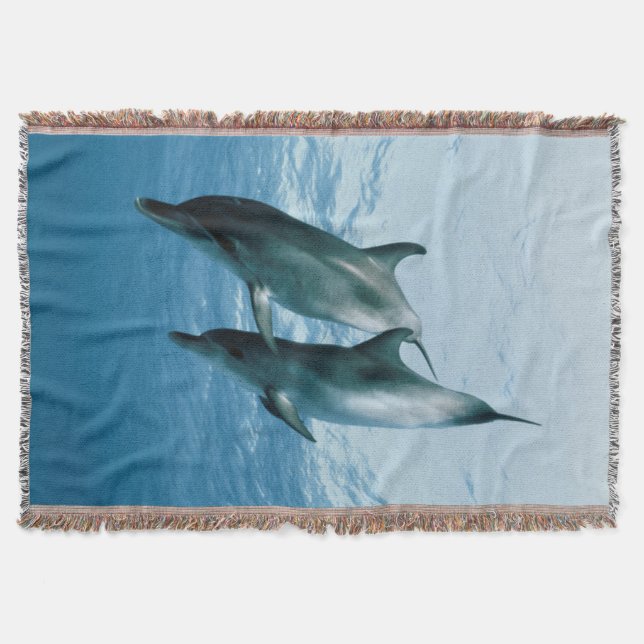 Couverture Paire de dauphins (Devant)