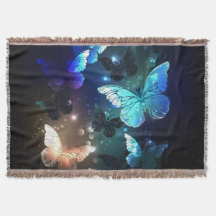Couverture Papillon de nuit