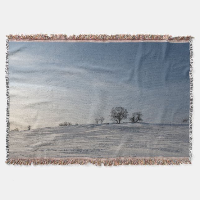Couverture Paysage enneigé    (Devant)