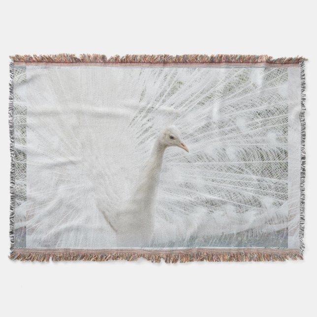 Couverture Peacock blanc belles plumes (Devant)