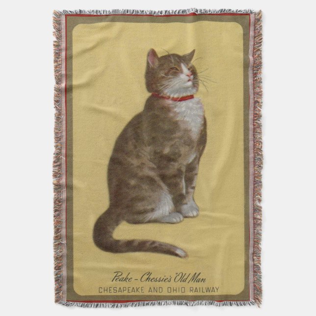 Couverture Peake, chat tigré de chat du vieil homme de (devant Vertical)