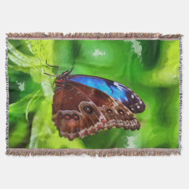 Couverture Peinture à papillon (Devant)