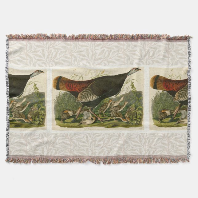 Couverture Peinture d'oiseaux sauvages de Turquie Audubon (Devant)