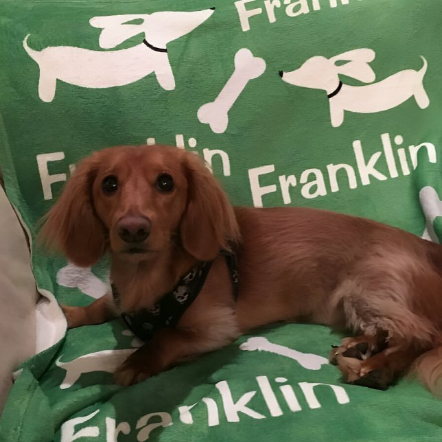 Couverture personnalisée Brown Dachshund Wiener Do (Dachshund blanket - personalized wiener dog gift )