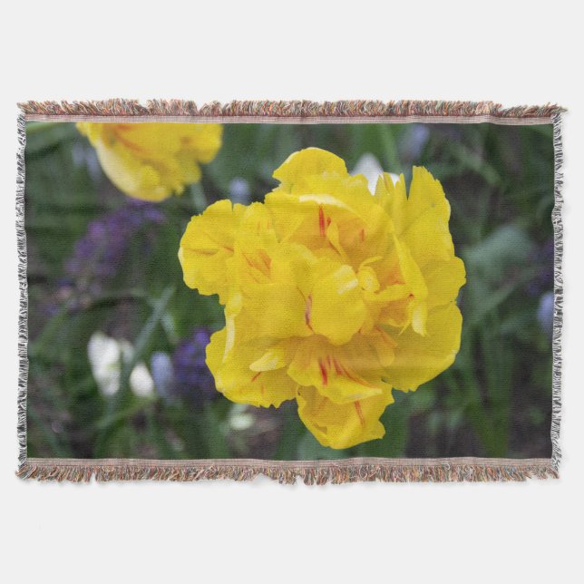 Couverture Petites tulipes jaunes dans le jardin (Devant)