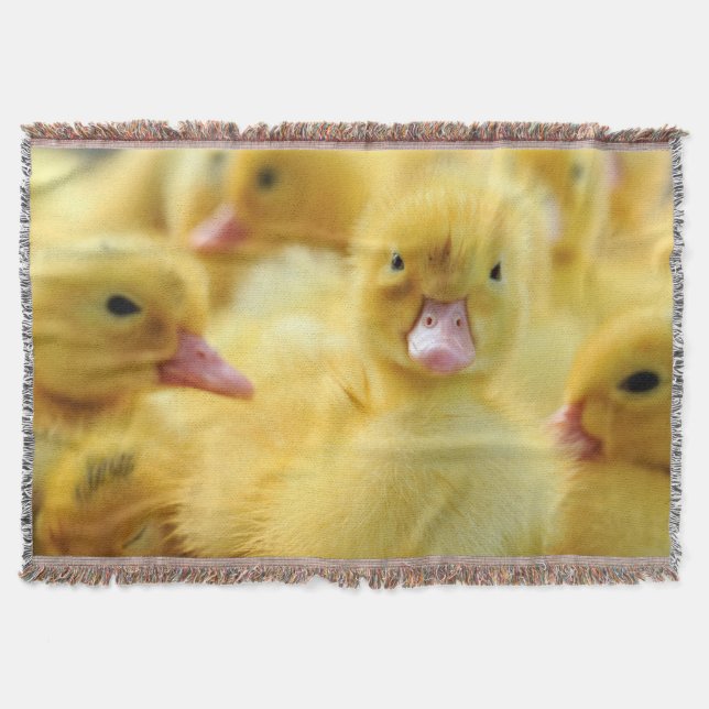 Couverture Petits canards (Devant)