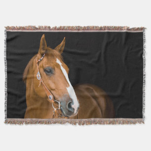 Couverture Photo de Quarter-Horse marron