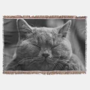 Couverture Photographie du visage de chat endormi