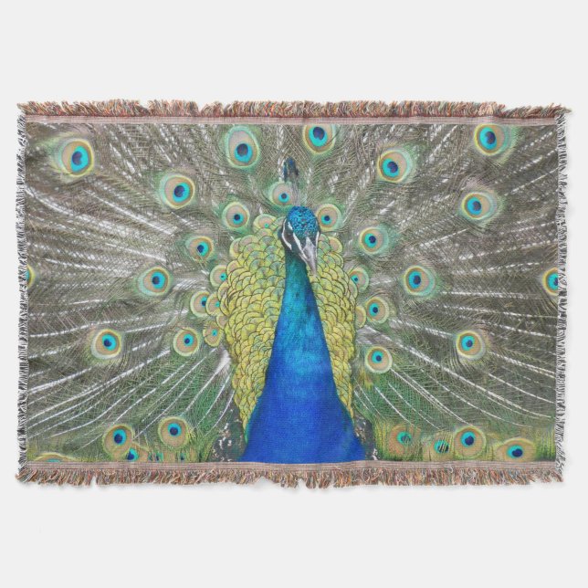 Couverture Plumage bleu Peacock (Devant)