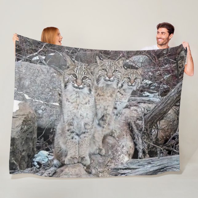 COUVERTURE POLAIRE 3 BOBCATS (En situation)