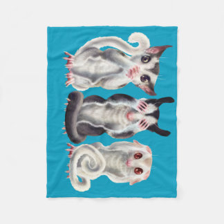 Couverture Polaire 3 planeurs sages de sucre