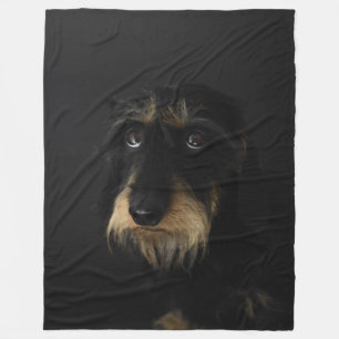 Couverture Polaire À poils durs Dachshund