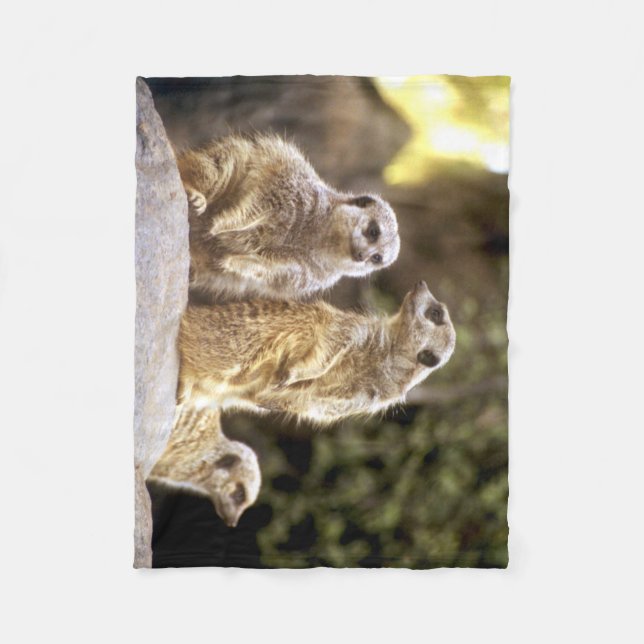 Couverture Polaire Agir sur les Meerkats naturels (Devant)