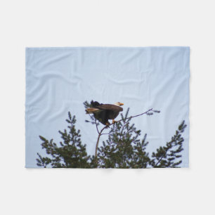 Couverture Polaire Aigle de Bald