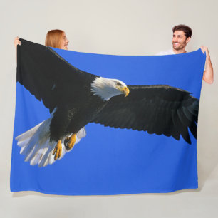 COUVERTURE POLAIRE AIGLE EN TRAIN