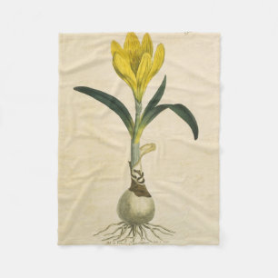Couverture Polaire Amaryllis Tulip Jardin Botanique Fleur