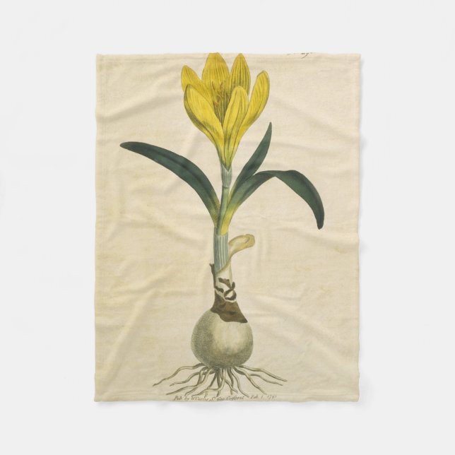 Couverture Polaire Amaryllis Tulip Jardin Botanique Fleur (Devant)