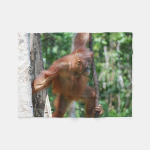 Couverture Polaire Amoureux des animaux d'orang-outan