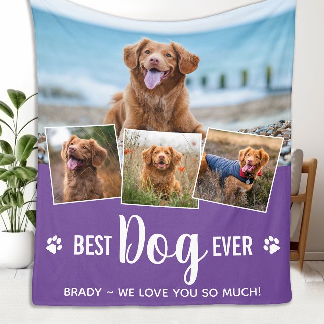 Couverture Polaire Amoureux des chiens Personnalisé Tendance 4 Animau (Créateur téléchargé)