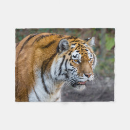 Couverture Polaire Amur tiger
