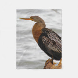 Couverture Polaire Anhinga On The Lookout