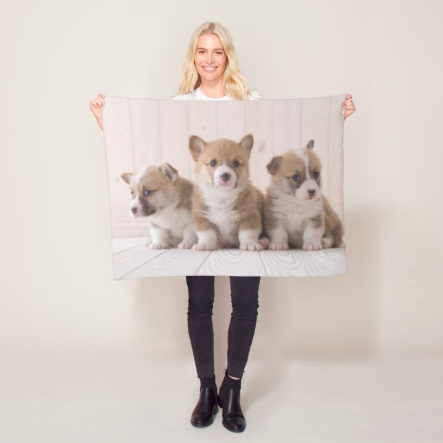 Couverture Polaire Animaux de bébés cutest | 3 Baby Corgis (En situation)