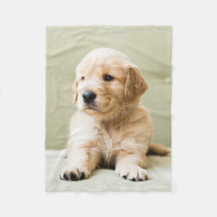 Couverture Polaire Animaux de bébés cutest   Golden Retriever Puppy