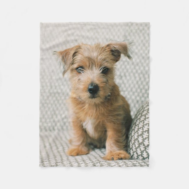 Couverture Polaire Animaux de bébés cutest | Norfolk Terrier Puppy (Devant)