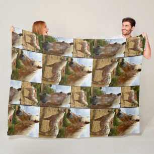 Couverture Polaire Appaloosa Horses Photo Collage, Grand