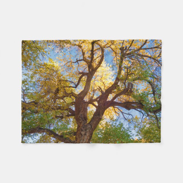 Couverture Polaire Arbre de Cottonwood | Parc national du récif du Ca (Devant (Horizontal))