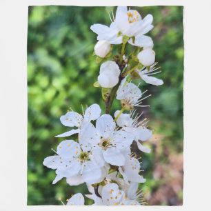 Couverture Polaire Arbre en Fleurs au Printemps Roumanie – Photograph