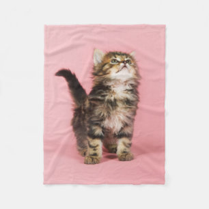 Couverture Polaire Assez dans le chaton rose