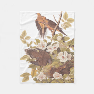 Couverture Polaire Audubon Carolina Turtle Dove Fleece Blanche