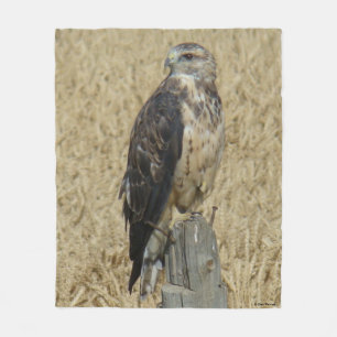 Couverture Polaire B36 Buse rouilleuse dans le champ de blé