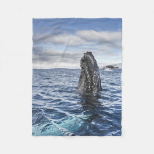 Couverture Polaire Baie d'espoir de Spyhops de baleine de bosse,