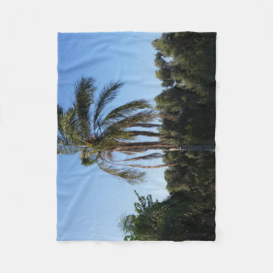 Couverture Polaire Balayage d'un palmier sous un ciel clair
