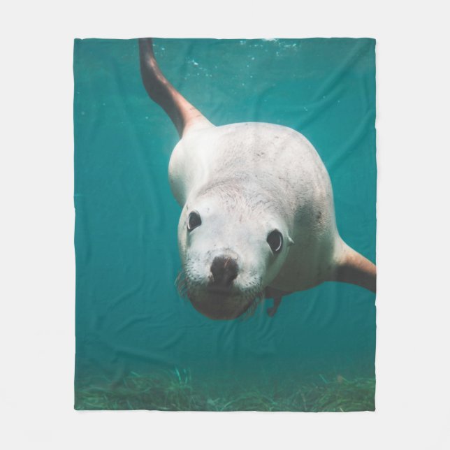 Couverture Polaire Beau Lion de Mer (Devant)