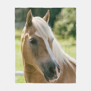 Couverture Polaire Beau portrait de cheval de haflinger