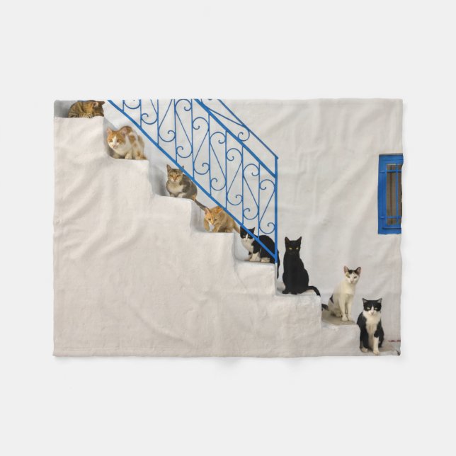 Couverture Polaire Beaucoup de chats sur un escalier blanc dans un vi (Devant (Horizontal))