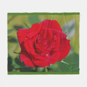 Couverture Polaire Beauté de rose rouge