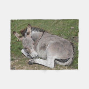 Couverture Polaire Bébé mignon âne poulain