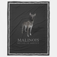 Belge Malinois - berger belge - Mechelaar