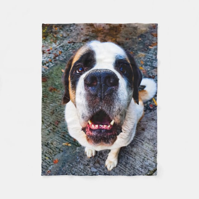 Couverture Polaire Bernhadine (Devant)