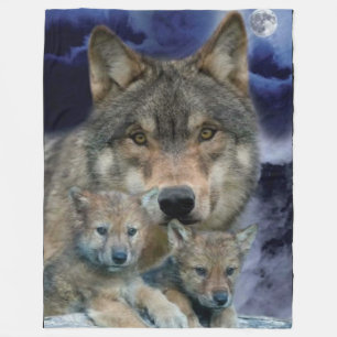 COUVERTURE POLAIRE BIENVENUE ET 2 CUBS