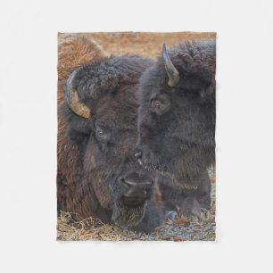 Couverture Polaire Bison américain Taureau et paires collées de vac